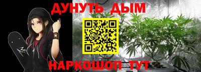 Альфа ПВП Кингисепп