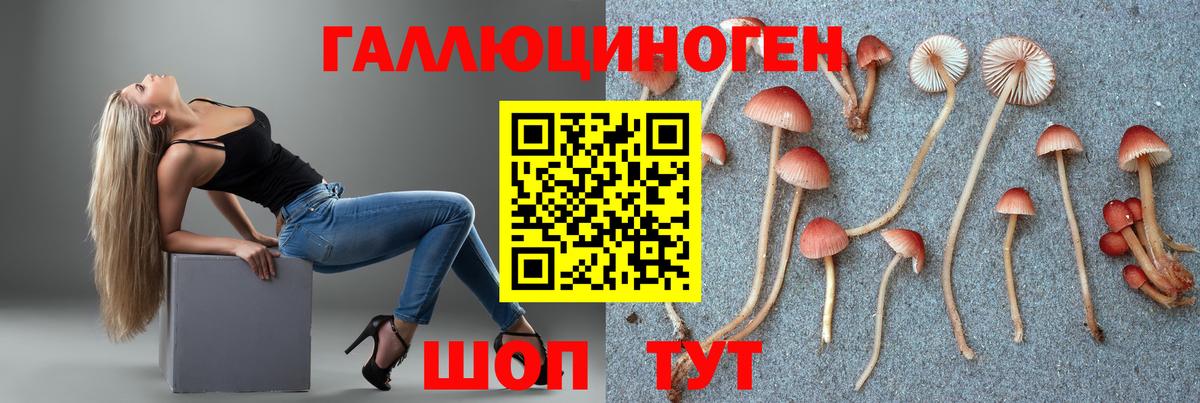 Галлюциногенные грибы MAGIC MUSHROOMS Куйбышев