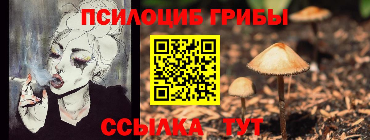 Куйбышев  Псилоцибиновые грибы прущие грибы  Вход с VPN 